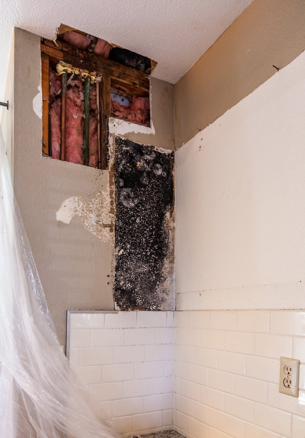Mold detection and inspection work